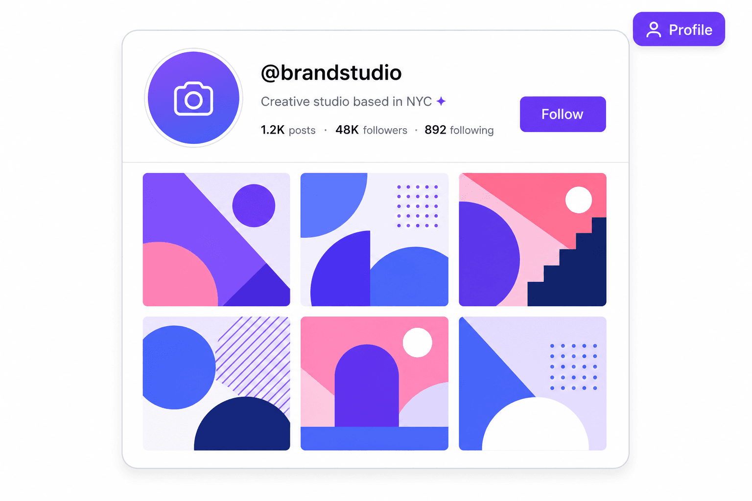 Instagram Profile layout template with bio and follow button